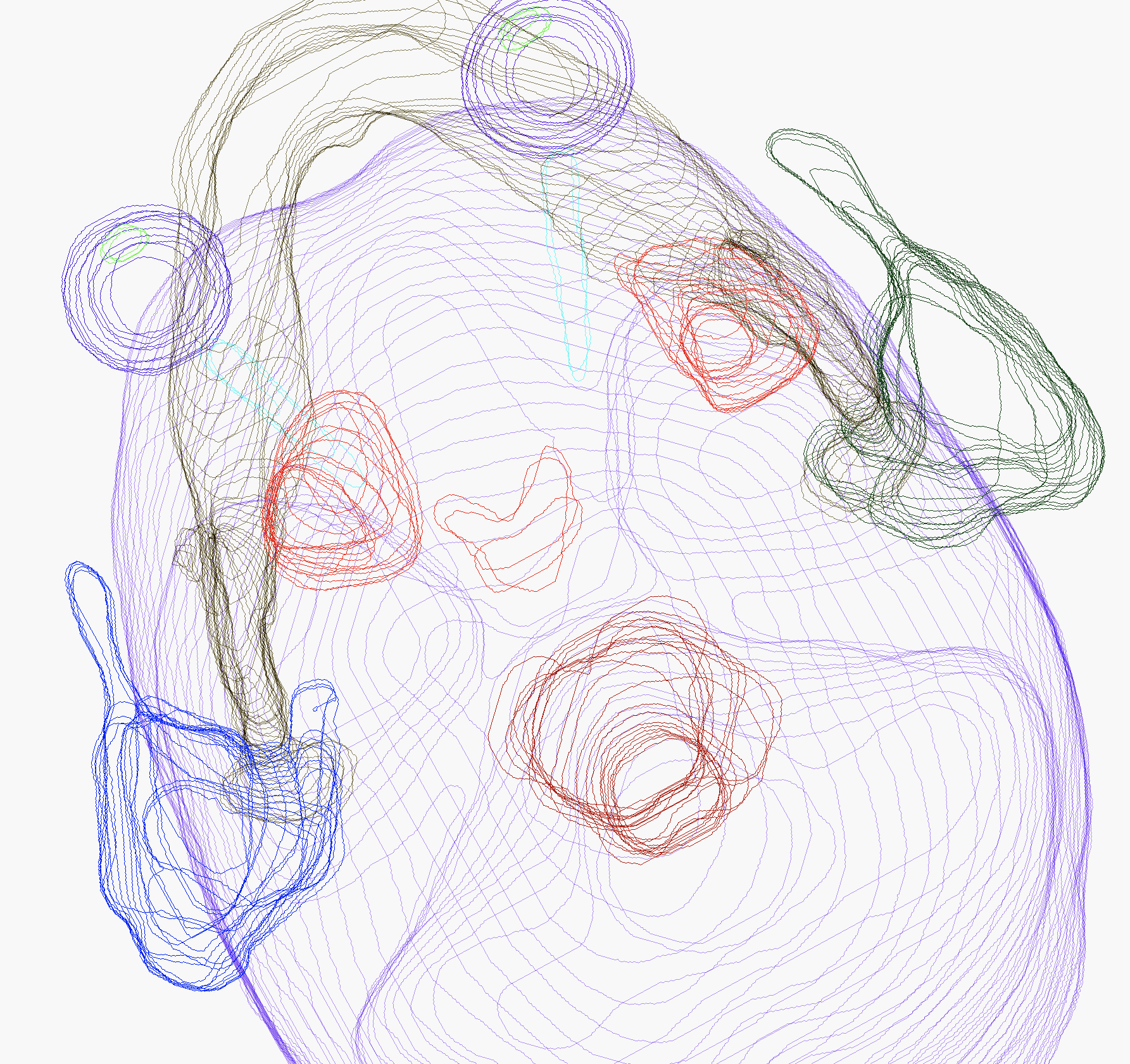 Limbus Contour